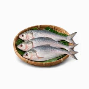 Fish